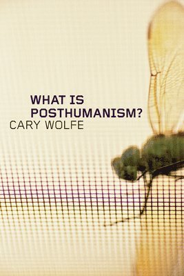 What Is Posthumanism? (hftad)