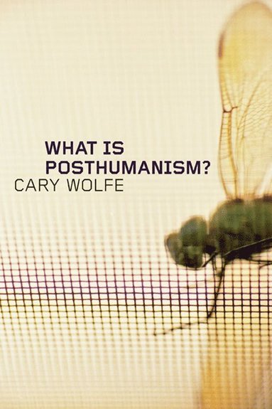 What Is Posthumanism? (häftad)