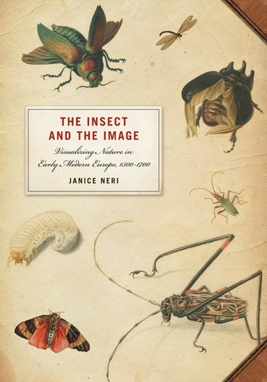 Insect and the Image (häftad)