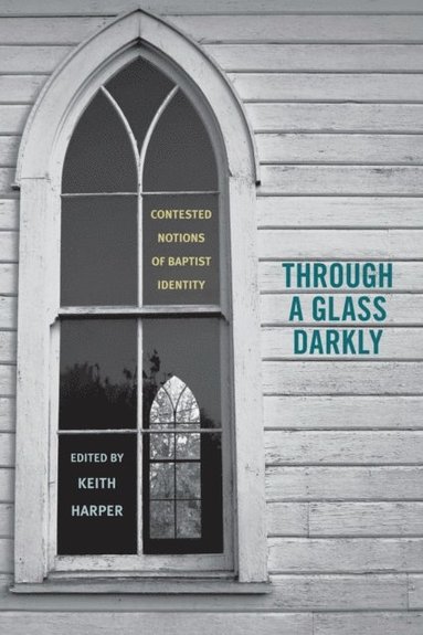 Through a Glass Darkly (e-bok)