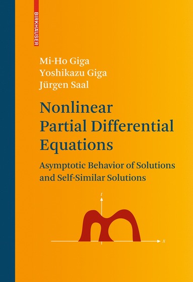 Nonlinear Partial Differential Equations (inbunden)
