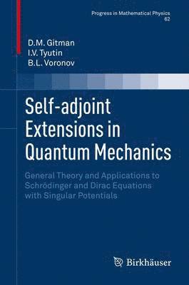Self-adjoint Extensions in Quantum Mechanics (inbunden)