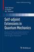 Self-adjoint Extensions in Quantum Mechanics