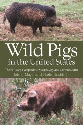 Wild Pigs of the United States (hftad)