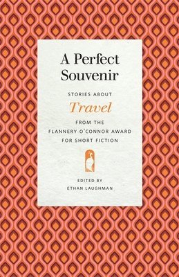 Perfect Souvenir (hftad)