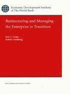 Restructuring and Managing the Enterprise in Transition (häftad)