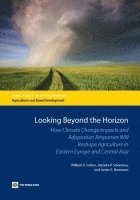 Looking Beyond the Horizon (hftad)