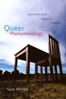 Queer Phenomenology (häftad)