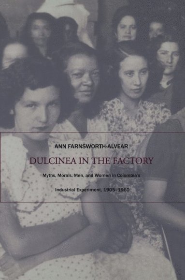 Dulcinea in the Factory (inbunden)