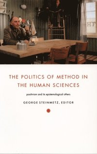 Politics of Method in the Human Sciences (e-bok)