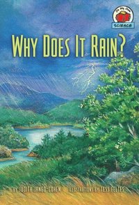 Why Does It Rain? (e-bok)