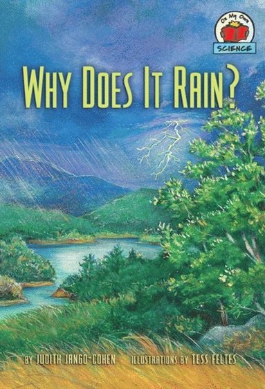 Why Does It Rain? (häftad)