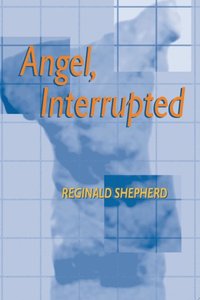 Angel Interrupted (e-bok)