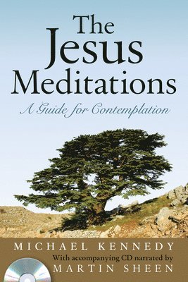 Jesus Meditations (h�ftad)