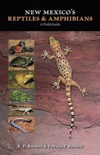 New Mexico's Reptiles and Amphibians (hftad)