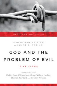 God and the Problem of Evil  Five Views (häftad)