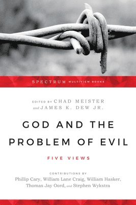 God and the Problem of Evil - Five Views (h�ftad)
