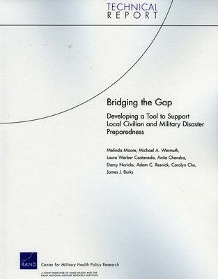 Bridging the Gap (häftad)