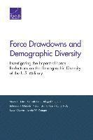 Force Drawdowns and Demographic Diversity (häftad)