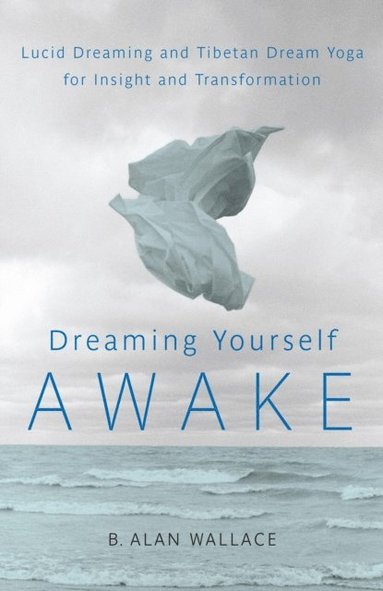 Dreaming Yourself Awake (e-bok)