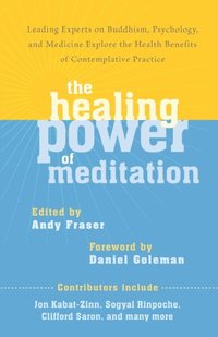 Healing Power of Meditation (e-bok)
