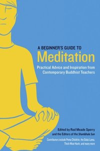 Beginner's Guide to Meditation (e-bok)