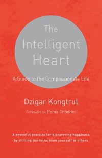 Intelligent Heart (e-bok)