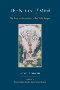 Nature of Mind (e-bok)