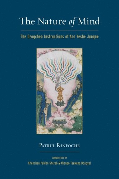 Nature of Mind (inbunden)