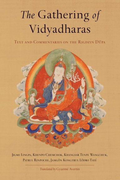 Gathering of Vidyadharas (hftad)