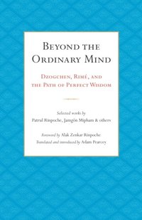 Beyond the Ordinary Mind (e-bok)