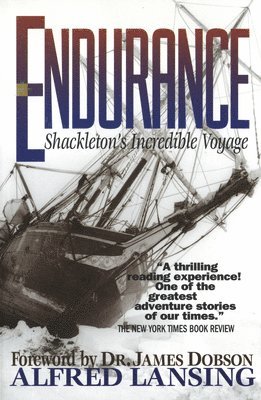 Endurance: Shackleton's Incredible Voyage (hftad)