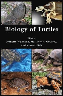 Biology of Turtles (inbunden)