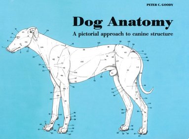 Dog Anatomy (inbunden)