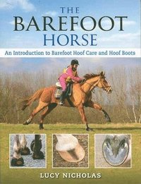 Barefoot Horse (hftad)