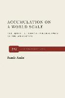 Accumulation on a World Scale (häftad)