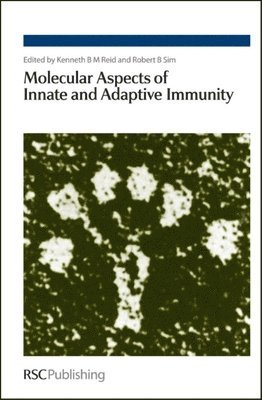 Molecular Aspects of Innate and Adaptive Immunity (inbunden)