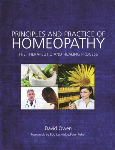 Principles and Practice of Homeopathy (e-bok)