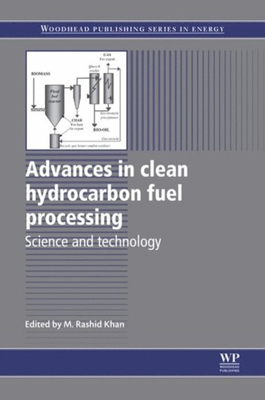 Advances in Clean Hydrocarbon Fuel Processing (e-bok)