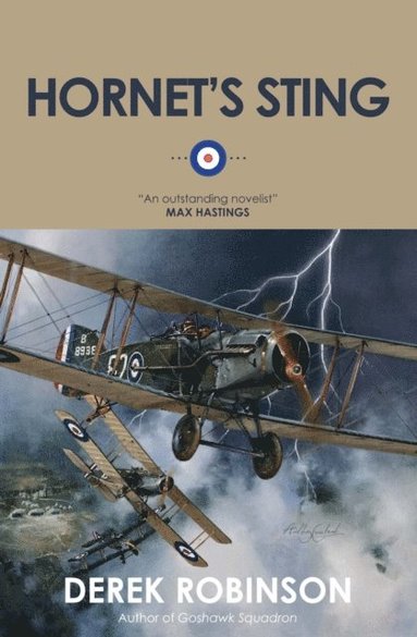 Hornet's Sting (e-bok)