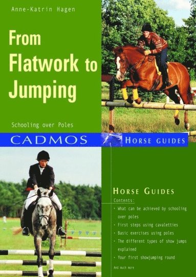 From Flatwork to Jumping (e-bok)