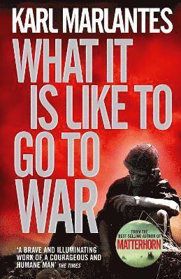 What It Is Like To Go To War (inbunden)