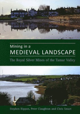 Mining in a Medieval Landscape (inbunden)