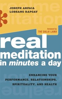 Real Meditation in Minutes a Day (e-bok)