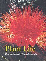 Plant Life (häftad)