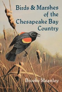 Birds and Marshes of the Chesapeake Bay Country (häftad)