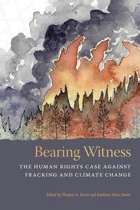 Bearing Witness (hftad)
