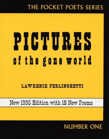 Pictures of the Gone World (häftad)