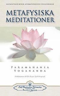Metafysiska Meditationer (Metaphysical Meditations - Swedish) (hftad)