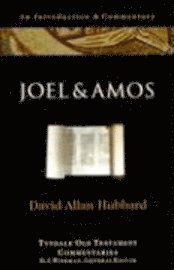 Joel and Amos: An Introduction and Commentary (hftad)